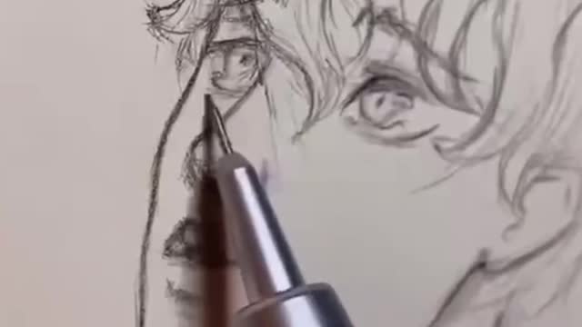 The sketch