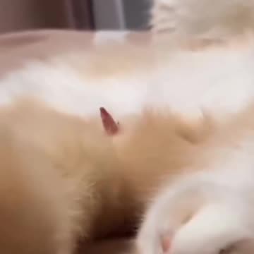 What was that??😂😂😂