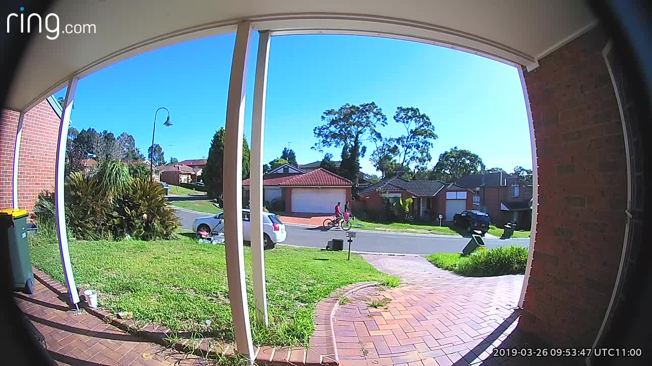 Man Makes a Mad Dash for Runaway Mower