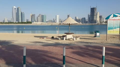 Al Mamzar Beach, curious birds play in the visitors' purposes