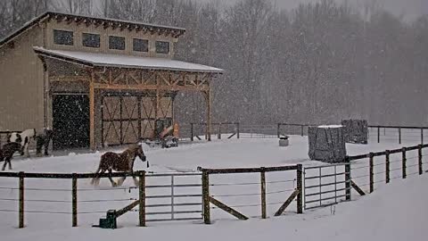 Amidst the snowstorm