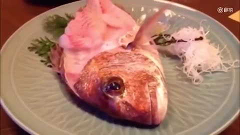 Fish Comes Back Alive After Being Served On a Plate !