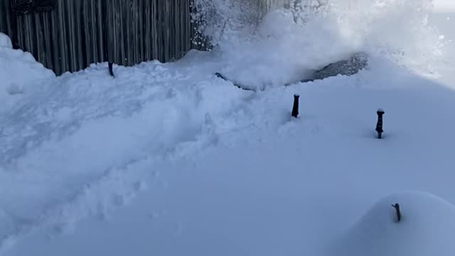 Teacher Snow Day