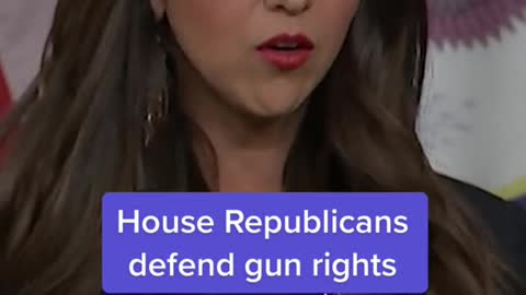 House Republicans defend gun rights