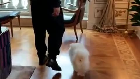 g3qEUgNppavXhev5VVyJP6