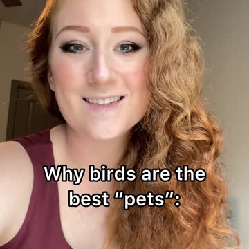 Here's why birds make the BEST pets: