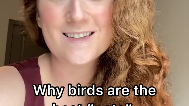 Here's why birds make the BEST pets: