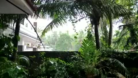Rain