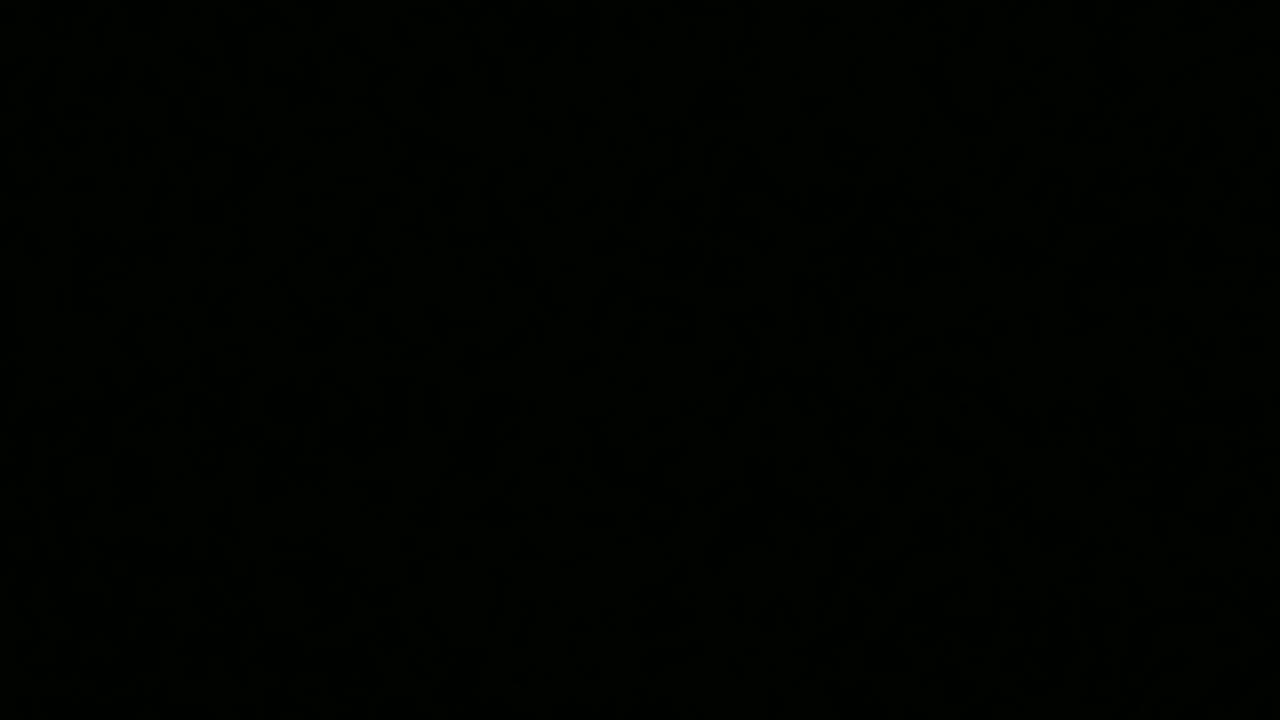 Minnesota Wild Goal 2000