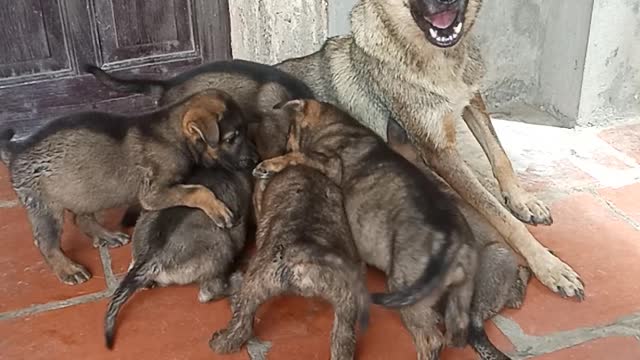 she was a first time mother