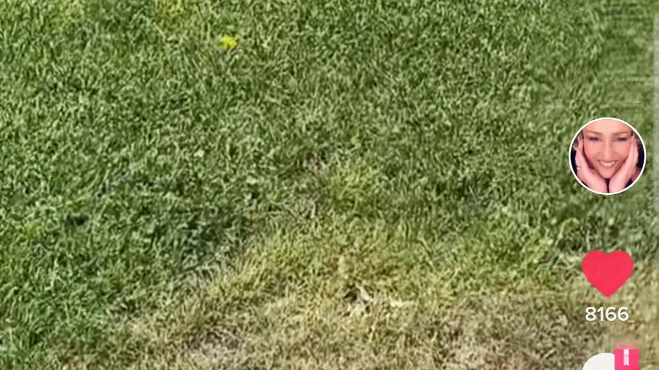 That is not our sun!