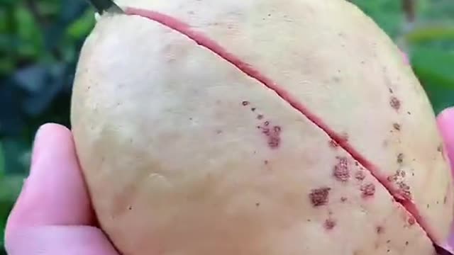 Cutting fruit