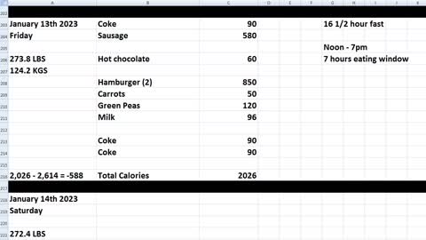 Daily Calorie Count: January 13th