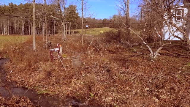 My Koi Pond Destroyed By Catskill Mountain Storm