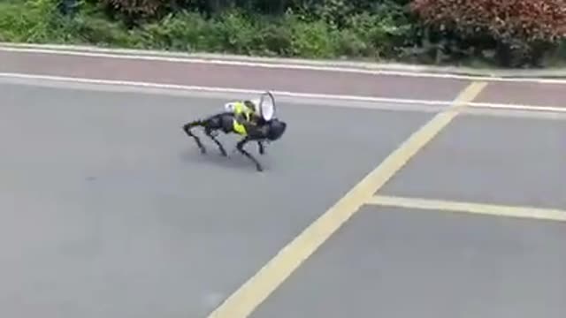 What the Future looks like.