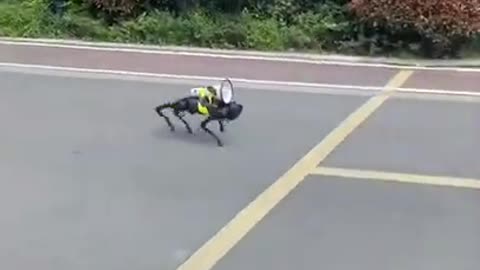 What the Future looks like.