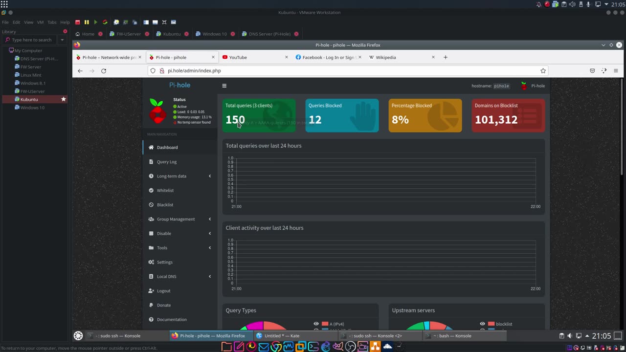 Configurar Pi-Hole DNS Local con Debian 11