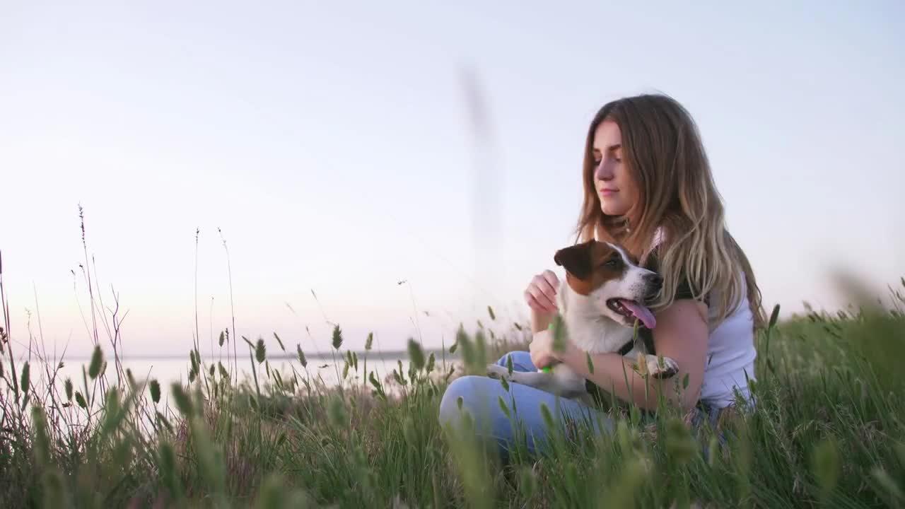 Young happy woman and het little dog sitting with flying kite on a glade at sunset