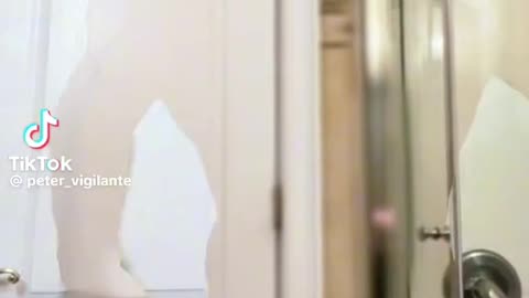 test filter gone wrong