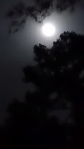 came home from work, this was in the sky.