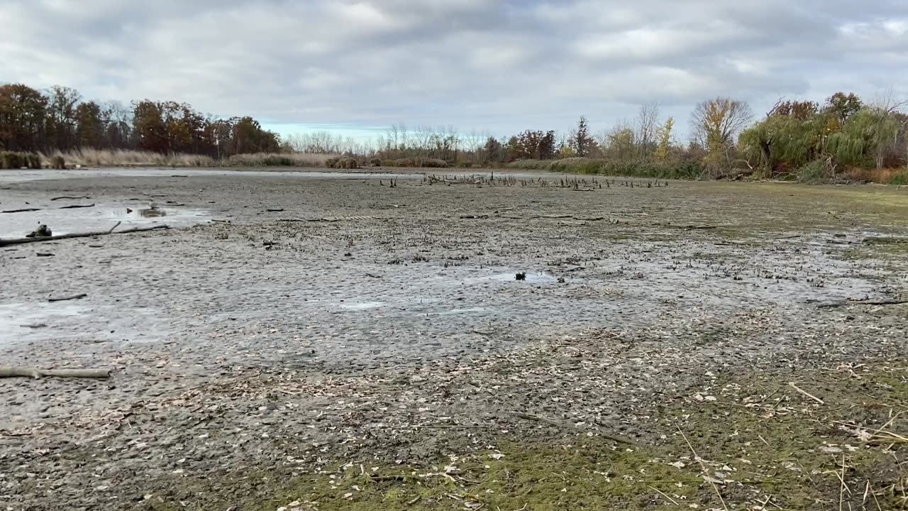 482 wind blew the water out of Toussaint river.