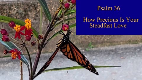 Psalm 36 - ESV Audio
