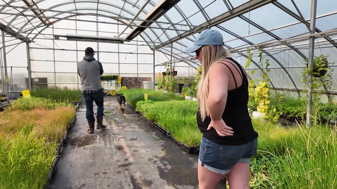 K&S Growers: Native Plant Nursery Site Tour By Lindsay Brandon of Permaculture Canada