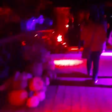 Magical bridge (To me that is). Part 33, Year 2