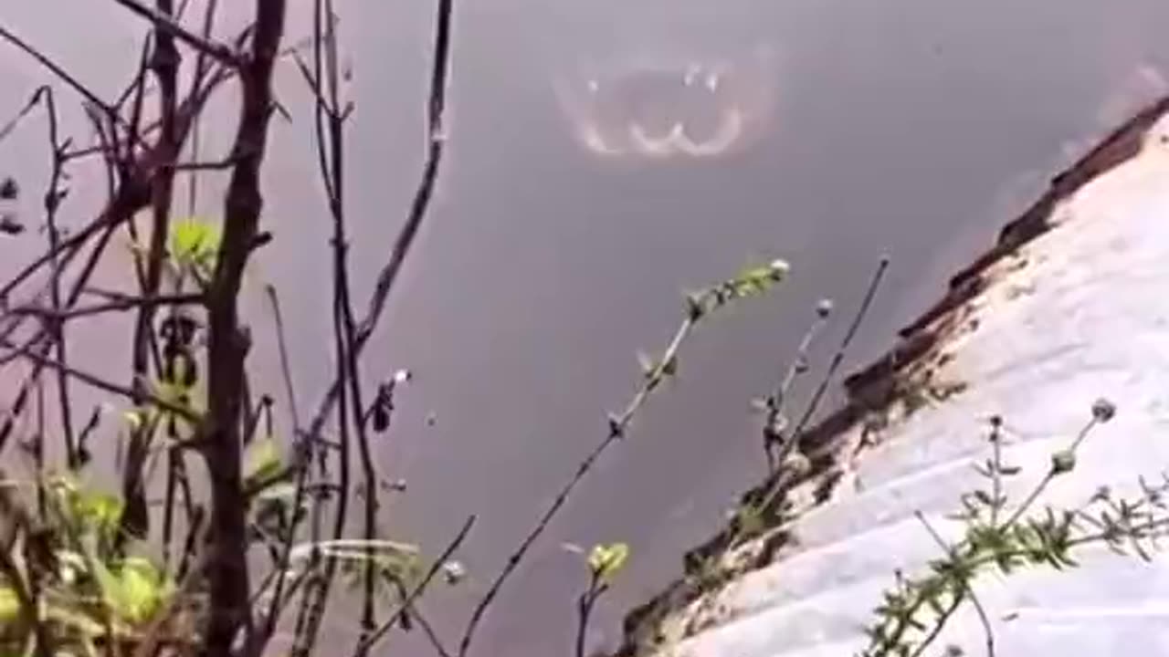Come On In The Water Is Nice