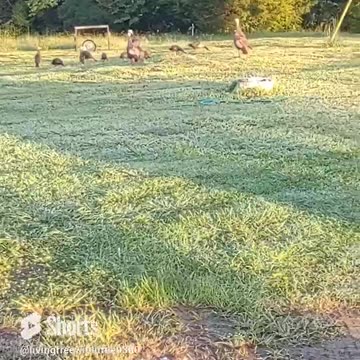 EVERY MORNING I GET TO SEE THIS