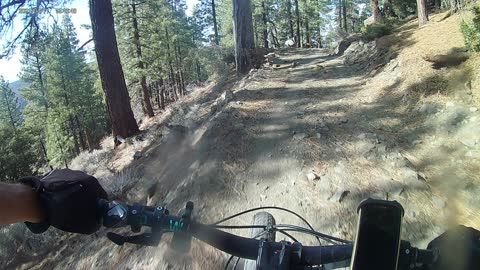 Quick run part way down Boy Scout Trail