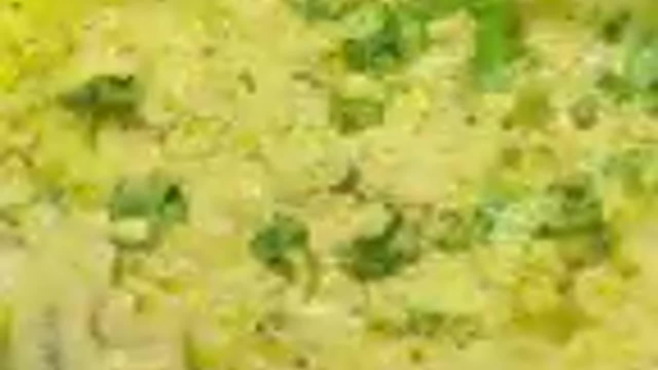 kaleji recipe