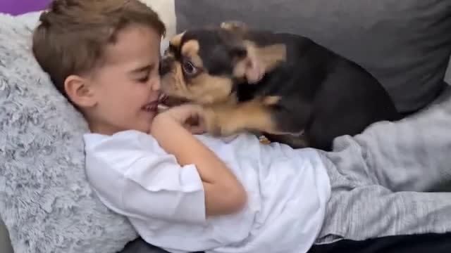 This cute dog is a kissing Machine