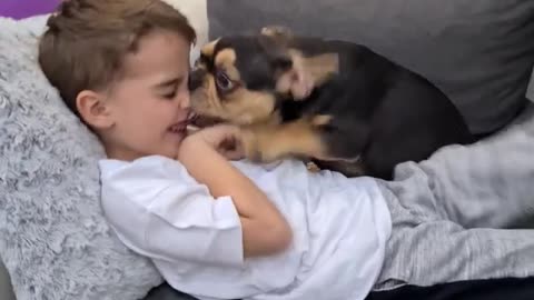 This cute dog is a kissing Machine