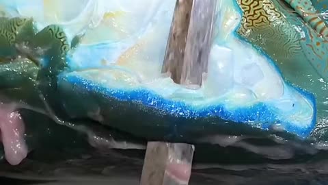 Blue fish 🐟 😲