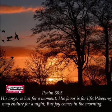 Nighttime Prayer of Favor #youtubeshorts #grace #jesus #mercy #faith #fyp #blessed #trust #love #joy