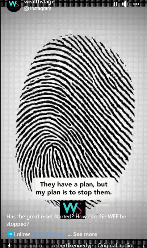 Against the Globalist Agenda: Robert F Kennedy Jr