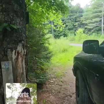 07-24-24 | Under severe thunderstorm watch, possible tornadoes. Part 1. #shorts