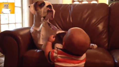 Funny dogs with cute baby..😂😃