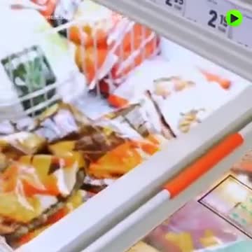 Stupid ideas for a dystopian world