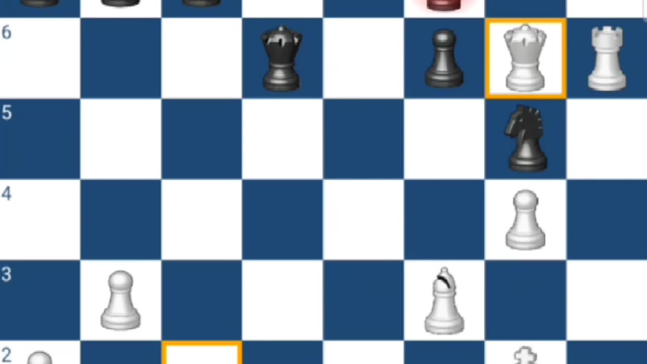 White Gambit vs Black: Checkmate by Queen and Rook, with bishop support