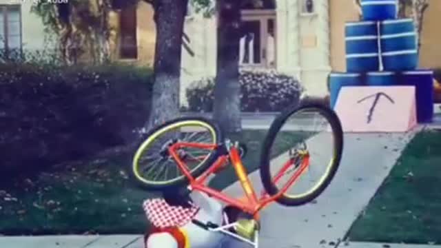 Fun edit 21 #shorts #funnyvideos