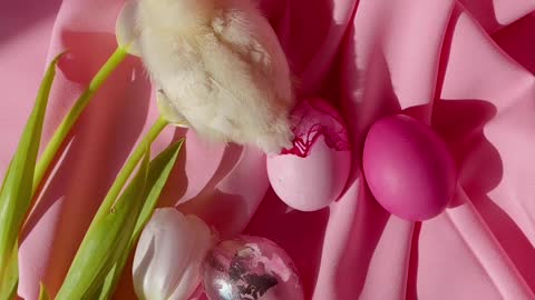 easter-celebration-concept-photography