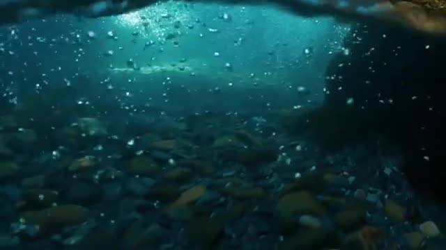 The butiy of nature in Alaska