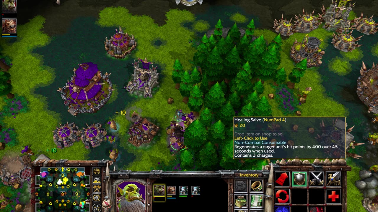 Warcraft 3 Win #43
