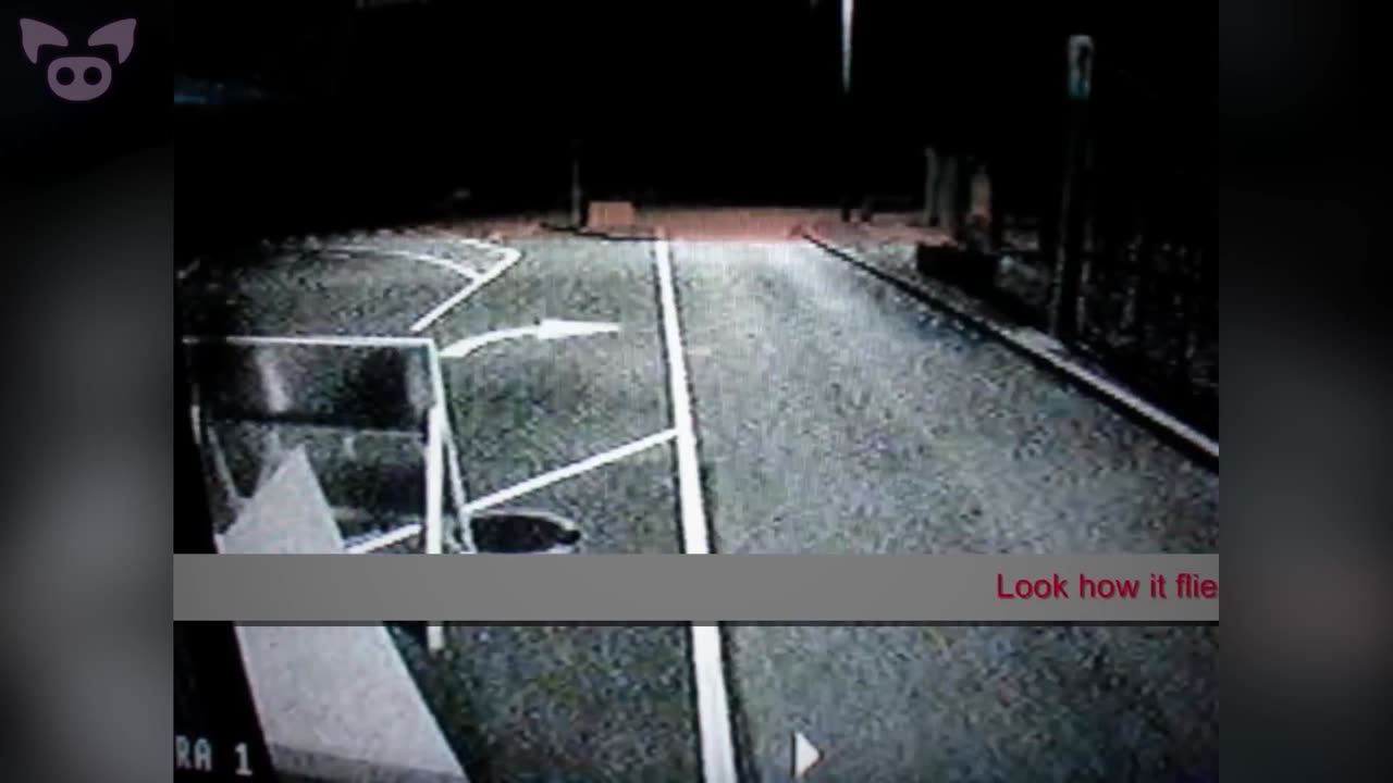 Can You Explain These Mysterious Sightings?