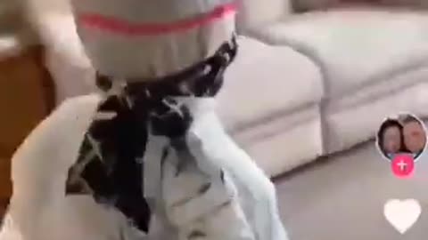 CRAZY Video Shows Kids Being Forced To Wear Ridiculous Outfits To Keep Elderly Safe