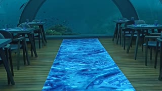 Watch this undersea restaurant