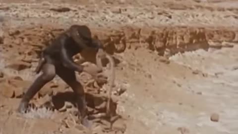 Navy Blue In Good Hands ft KA (VIDEO)