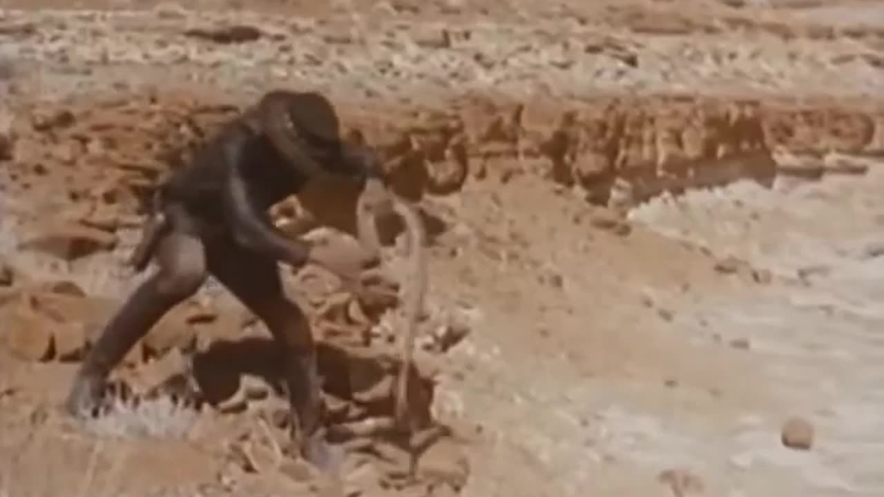 Navy Blue In Good Hands ft KA (VIDEO)